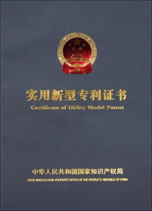 双边款专利证书